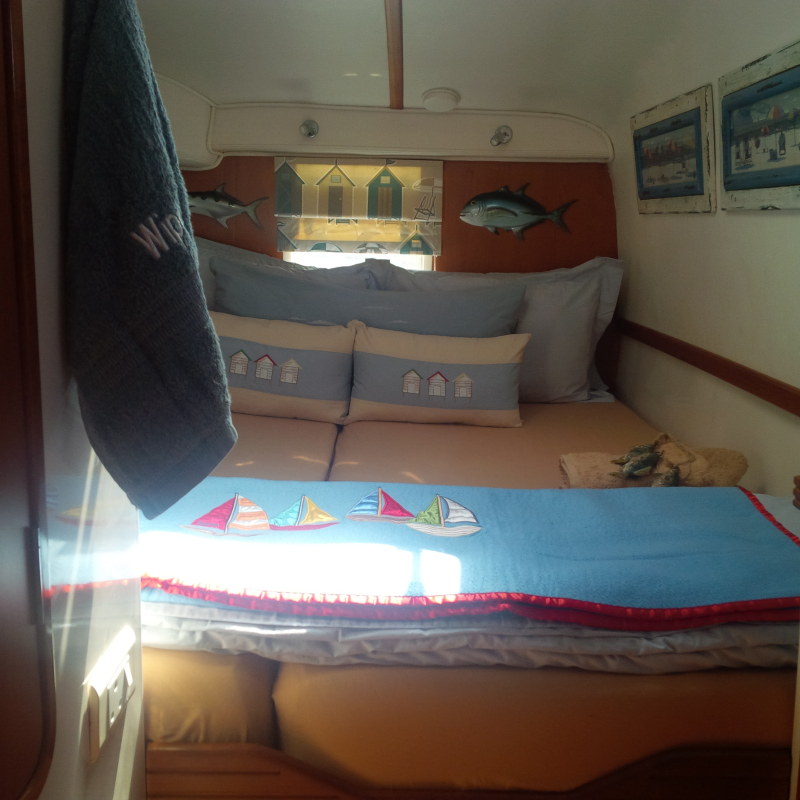 Used Sail Catamaran for Sale 2010 Jaguar 38 Layout & Accommodations